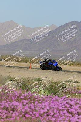 media/Feb-04-2023-SoCal Trackdays (Sat) [[8a776bf2c3]]/Turn 15 Inside Blooming (1050am)/